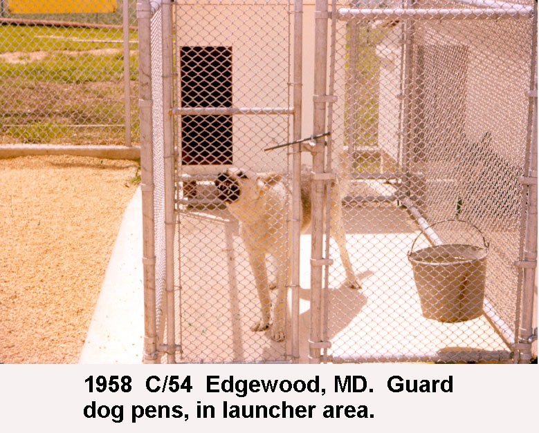 Guard dog in pen